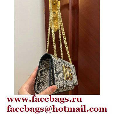 Dolce  &  Gabbana Calfskin 3.5 Chain phone bag Python Print